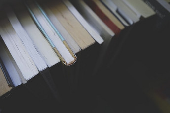 Publications des professeurs